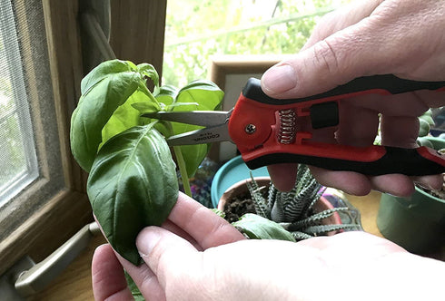 Corona FS 4120 Hydroponic Micro Snip Scissors for Gardening, Landscaping Herbs, Flowers and seedlings, 6-Inch, Red