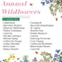 112,000+ Wildflower Seeds: Bulk Mix of 21 Varieties, Non-GMO Wild Flower Seed | Bee and Butterfly Garden Variety Pack | Annual Flowers Seeds for Planting | Native Wildflower Plants for Your Garden