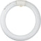 GE Lighting 33774 Cool White 8-Inch Diameter Circline Fluorescent T9 Bulb, 22-Watt