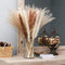 60 Pcs Boho Flowers Faux Pampas Grass Decor- Tall and Fluffy with No Shedding - Artificial Pompass Grass for Home, Wedding, and Table Decor, White, Brown & Reed