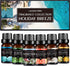 Fragrance Essential Oil - Organic 6pc Holiday Breeze Scent Gift Set - Perfect for Candle Making, Soap Scents, Slime - Oils for Diffuser, Humidifier, Aromatherapy, Aroma Beads, Car Freshener (10mL)