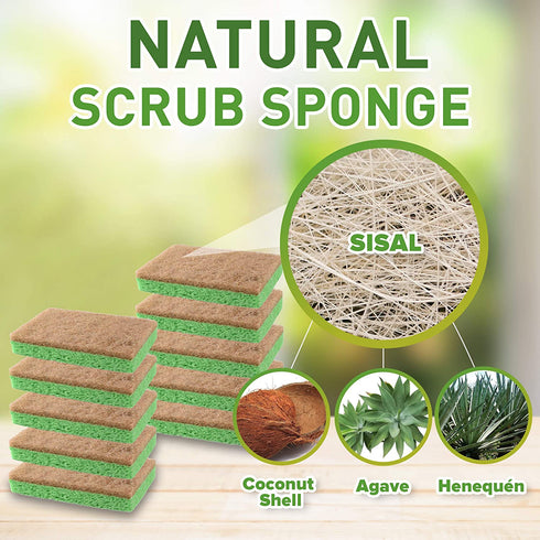 Natural Plant-Based Scrub Sponge by Scrub-it, Non-Scratch, Biodegradable scrubbing sponges with a Tough Anti-Bacterial scouring pad for Kitchen and Bathroom 24 Pack