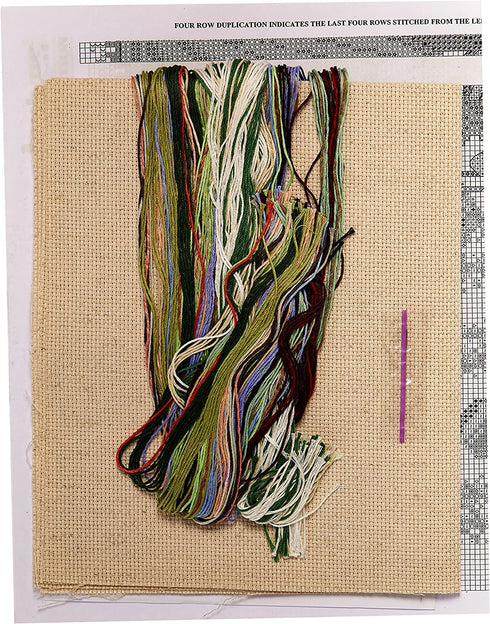 Janlynn Counted Cross Stitch Kit, From This Day Forward